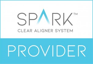 Spark Provider badge 042022